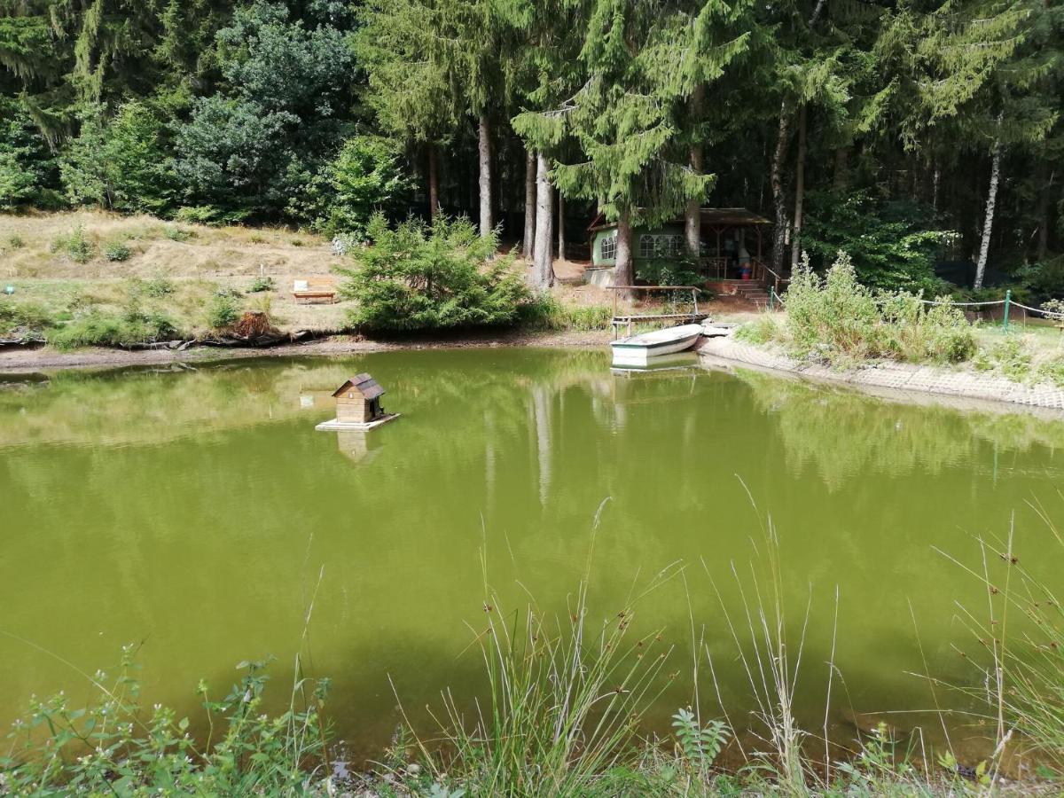 Beautiful Holiday Home With Covered Veranda Friedrichroda Zewnętrze zdjęcie